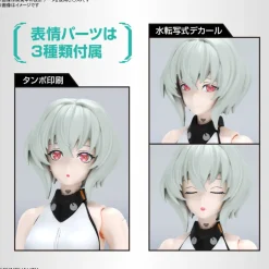 Figure-rise Standard Noir