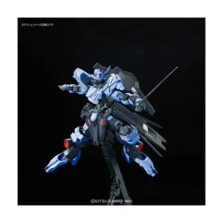 FM 1/100 GUNDAM VIDAR