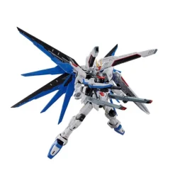 FM 1/100 ZGMF-X10A FREEDOM GUNDAM VER.GCP