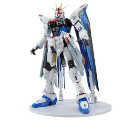 FM 1/100 ZGMF-X10A FREEDOM GUNDAM VER.GCP