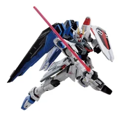 FM 1/100 ZGMF-X10A FREEDOM GUNDAM VER.GCP