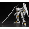 FRAME ARMS 1/100 TYPE-HECTOR DURANDAL