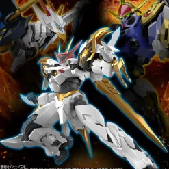 HG AMPLIFIED IMGN RYUOUMARU
