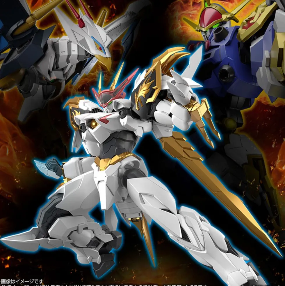 HG AMPLIFIED IMGN RYUOUMARU