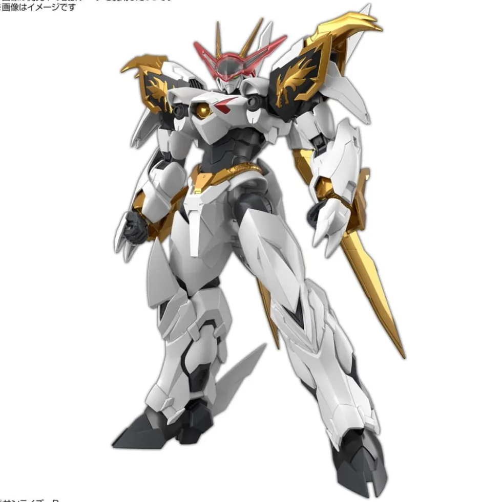 HG AMPLIFIED IMGN RYUOUMARU