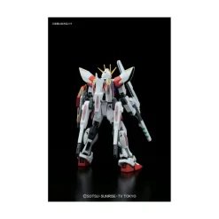 HGBF 1/144 STAR BUILD STRIKE GUNDAM PLAVSKY WING