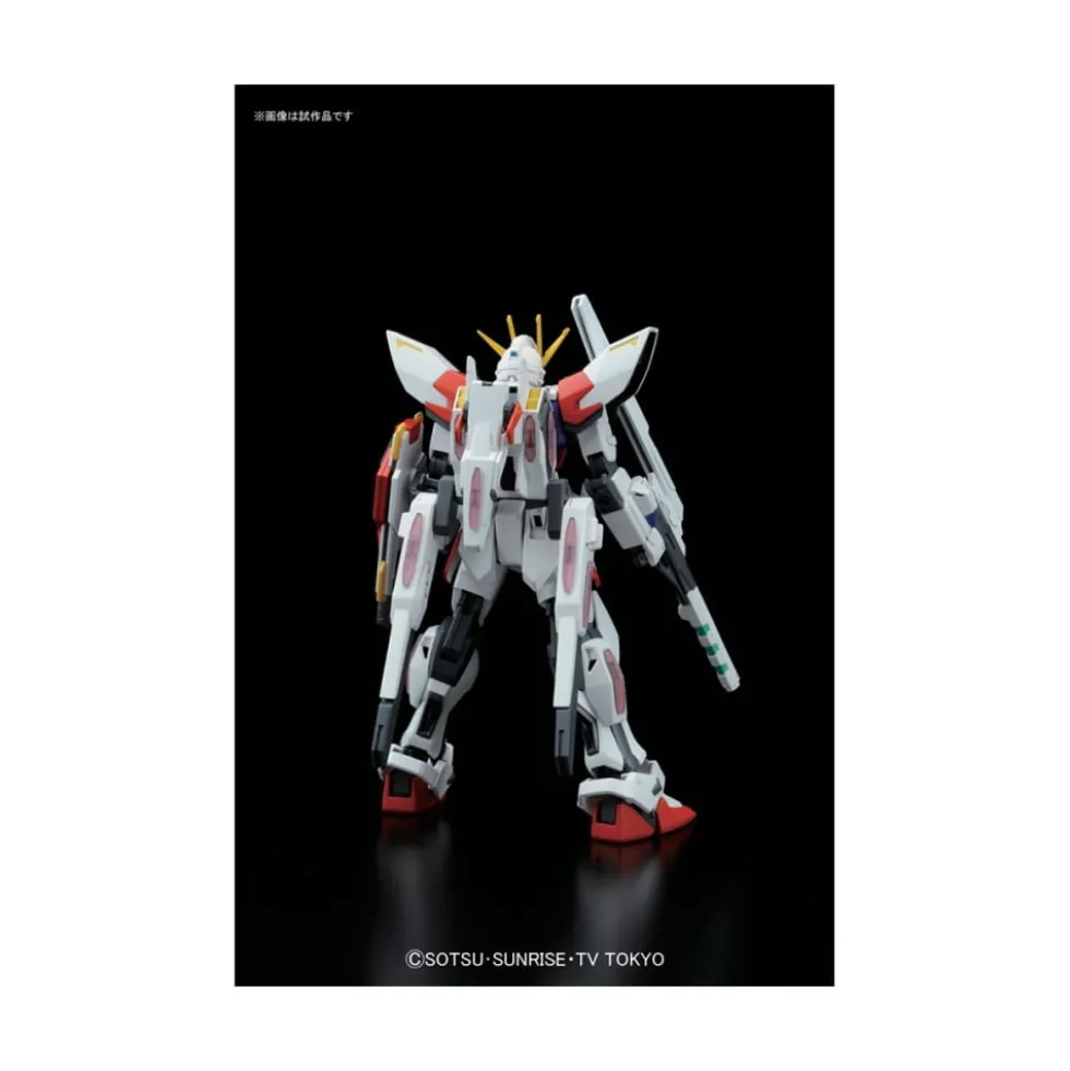 HGBF 1/144 STAR BUILD STRIKE GUNDAM PLAVSKY WING
