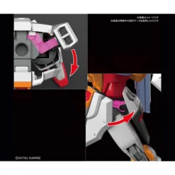 HGCE 1/144 DESTINY GUNDAM (HEINE WESTENFLUSS CUSTOM)