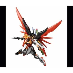 HGCE 1/144 DESTINY GUNDAM (HEINE WESTENFLUSS CUSTOM)