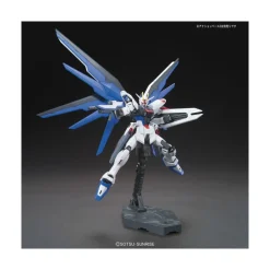 HGCE 1/144 FREEDOM GUNDAM