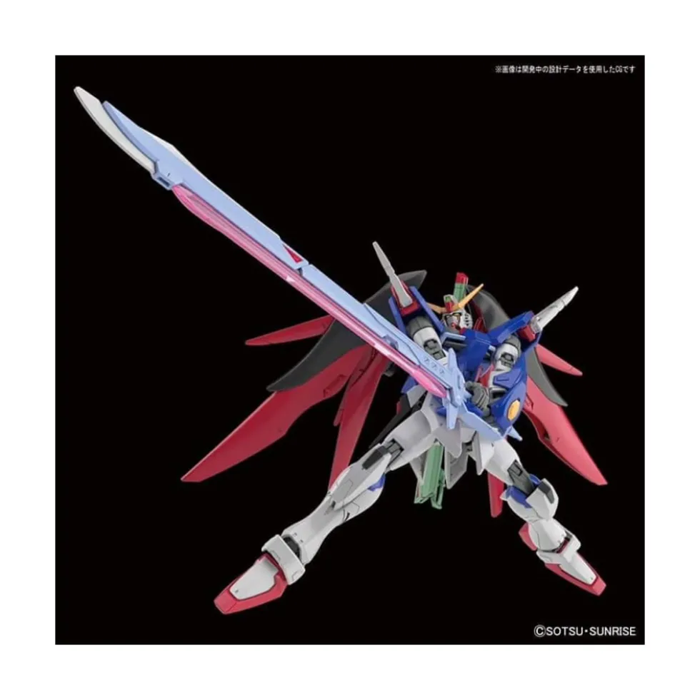 HGCE 1/144 GUNDAM DESTINY