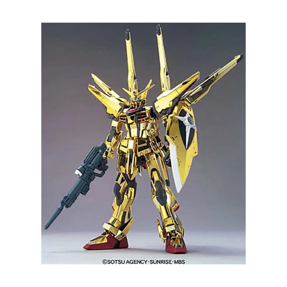 HGCE 1/144 GUNDAM OOWASHI AKATSUKI