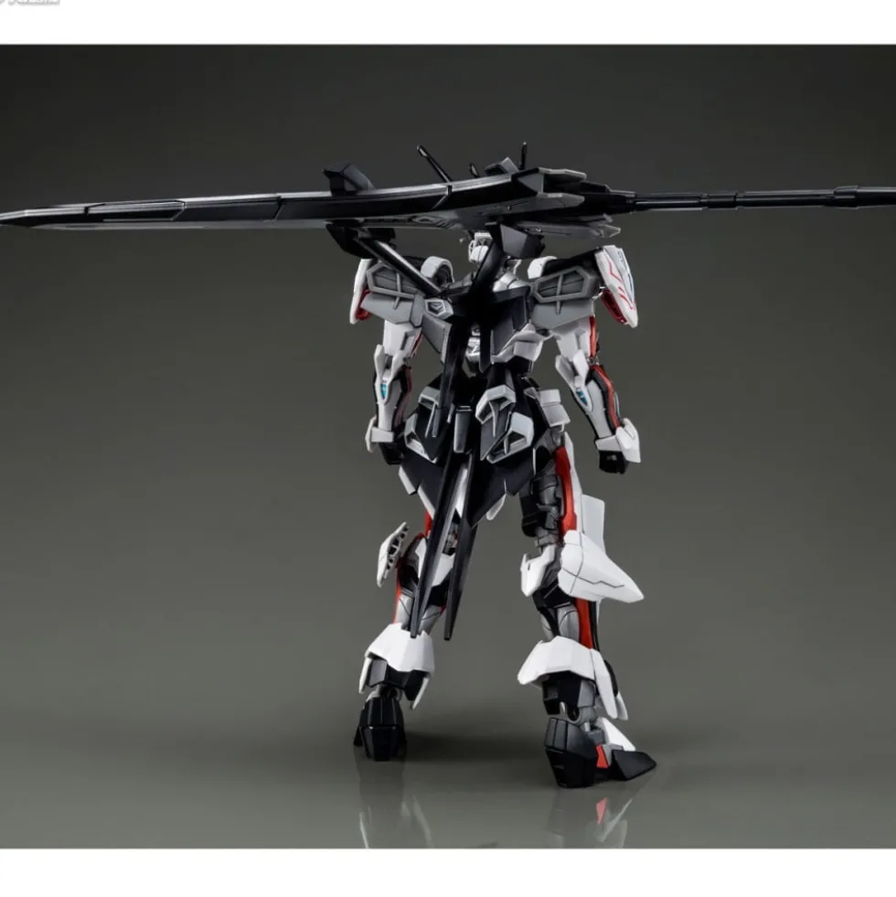 HGCE 1/144 LOAD ASTRAY OMEGA