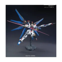 HGCE 1/144 STRIKE FREEDOM GUNDAM