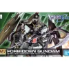 HG 1/144 FORBIDDEN GUNDAM (REMASTER)