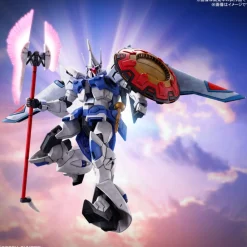 HG 1/144 GANGSTROM ( AGNES GIEBENLART SPECIAL AIRCRAFT )