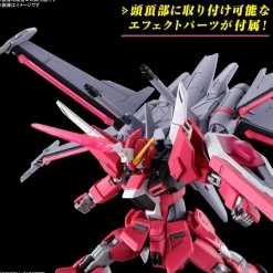HG 1/144 INFINITE JUSTICE GUNDAM TYPE II