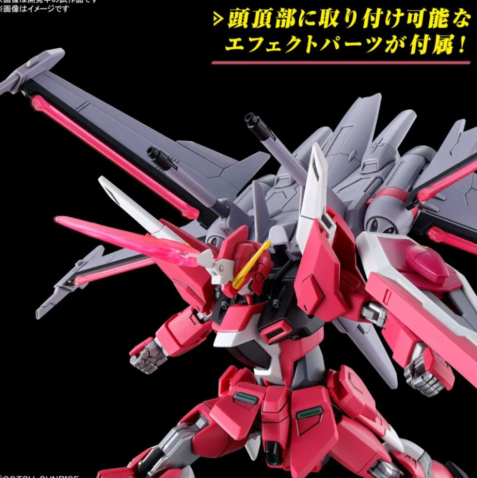 HG 1/144 INFINITE JUSTICE GUNDAM TYPE II