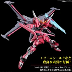 HG 1/144 INFINITE JUSTICE GUNDAM TYPE II