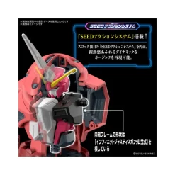 HG 1/144 Z’Gok (Mobile Suit Gundam SEED FREEDOM Ver.)