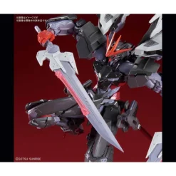HIRM 1/100 GUNDAM ASTRAY NOIR