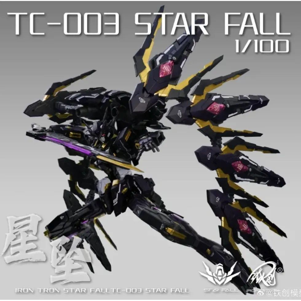 IRON TOYS : TC-03 1/100 STAR FALL