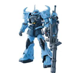 MG 1/100 GOUF CUSTOM