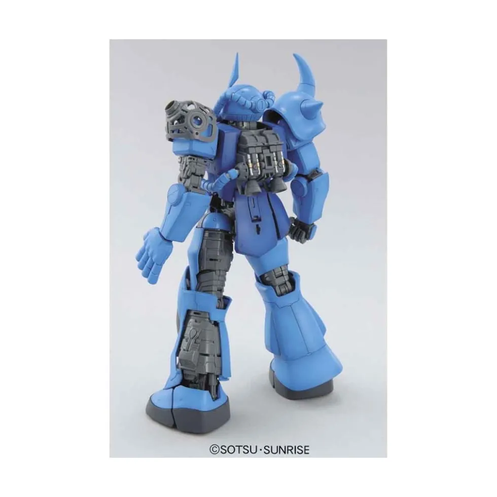 MG 1/100 GOUF VER.2.0