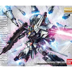 MG 1/100 PROVIDENCE GUNDAM G.U.N.D.A.M LIMITED EDITION