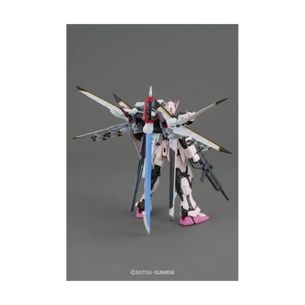 MG 1/100 STRIKE ROUGE OOTORI UNIT VER. RM