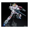 MG 1/100 UNICORN GUNDAM R/G TWIN FRAME TITANIUM FINISH