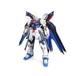 PG 1/60 STRIKE FREEDOM GUNDAM