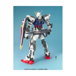 PG 1/60 STRIKE GUNDAM