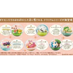 POKEMON : TERRARIUM EVERYDAY HAPPY