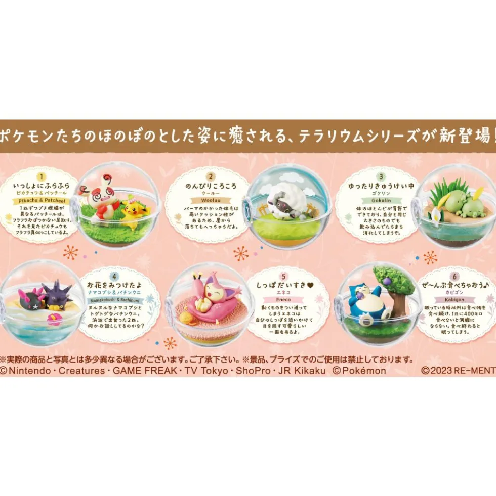 POKEMON : TERRARIUM EVERYDAY HAPPY