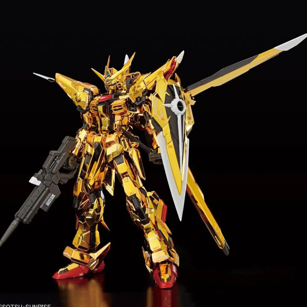RG 1/144 Akatsuki Gundam Oowashi Unit