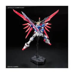 RG 1/144 DESTINY GUNDAM