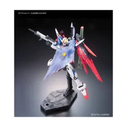 RG 1/144 DESTINY GUNDAM