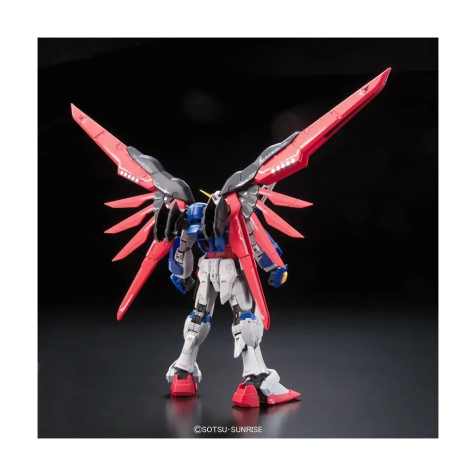 RG 1/144 DESTINY GUNDAM