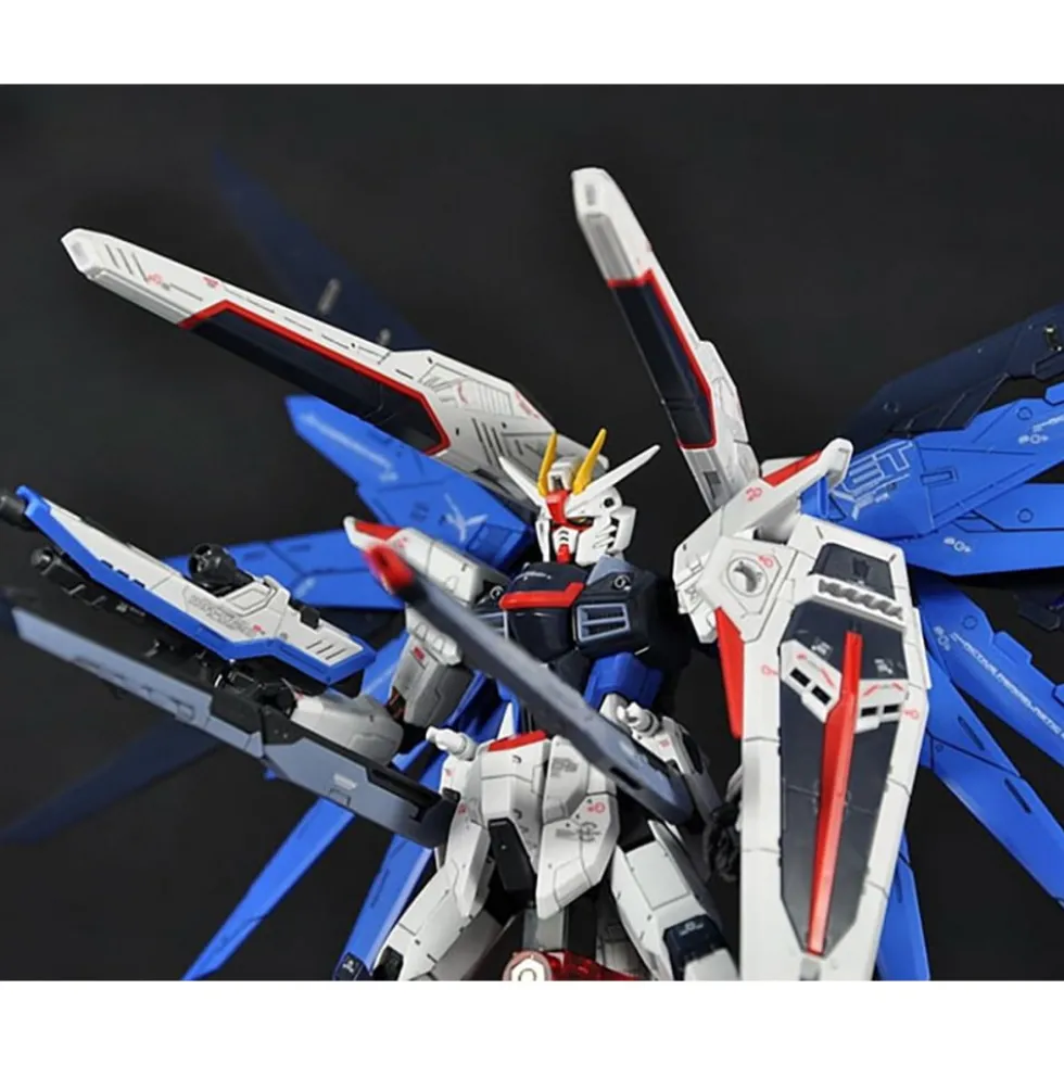 RG 1/144 FREEDOM GUNDAM