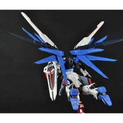 RG 1/144 FREEDOM GUNDAM