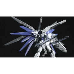 RG 1/144 FREEDOM GUNDAM (DEACTIVE MODE)