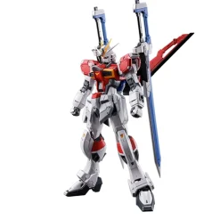 RG 1/144 SWORD IMPULSE GUNDAM