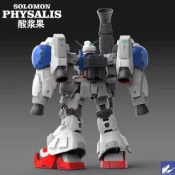 SOLOMON : 1/100 PHYSALIS