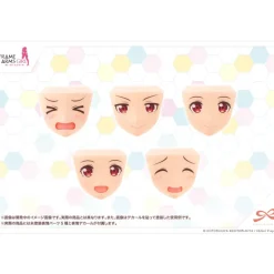 SOUSAI SHOJO TEIEN : AFTER SCHOOL GOURAI BIRTHDAY SET